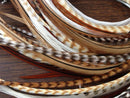 Premium Feather Hair Extension Kit, 100% Real Rooster Feathers, Long Natural Brown, and Black/White Grizzly Colors, 20 Loose Individual Hair Extensions, Salon Grade, Includes Beads and Loop Tool Feather Lily