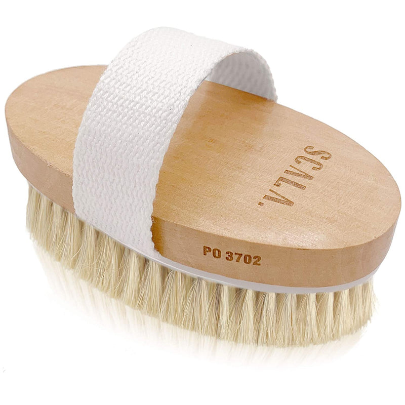 Wet and Dry Body Brush Exfoliator - Soft Bristle Brush Naturally Exfoliates Dead Skin, Smooths Cellulite, Slows Aging, Stimulates Lymph and Blood Flow by Scala Beauty, 5 x 2.75 In Scala