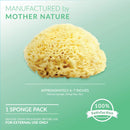 Neptune Natural Sea Wool Sponge - All Natural Honeycomb Renewable Sea Sponge, Jumbo, 6.5-7.5 inches Neptune Natural