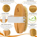 100% Vegan Dry Brushing Body Brush. Firm Dry Brush for Cellulite and Lymphatic. Brushes For Advanced Users. Exfoliating Skin Brush and Free Konjac Sponge, for a Softer, Glowing Skin Belula