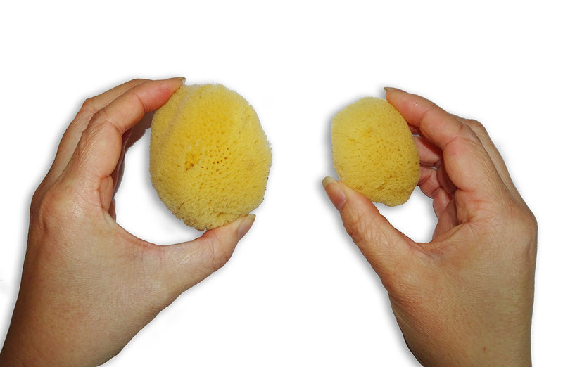 Natural Sea Silk Sponges 12pk: Size 1.5"-3" like Cotton Balls, for Cosmetic Use, Makeup Application & Removal, Face & Eye Cleaning, with Luxury Gift Bag by Constantia Beauty® Constantia Beauty