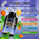 Cortisol Supplement for Women - Holy Basil | Ashwagandha | Rhodiola | L-Theanine - Plant-Based Hormone Balance - Mood, Focus & Sleep Support - Made in USA - Vegan, Non-GMO - 60 Capsules for 2 Months Infinity Warehouse