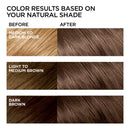 L'Oreal Paris Feria Multi-Faceted Shimmering Permanent Hair Color, 60 Crystal Brown (Light Brown), Pack of 1, Hair Dye L'Oreal Paris