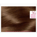 L'Oreal Paris Excellence Creme Hair Color, Medium Golden Brown (Pack of 3) L'Oreal Paris