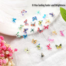 120 Pcs 3D Acrylic Butterfly Charms for Nails 24 Colors Butterfly Nail Glitter Sets Butterfly Nail Charms for Nail Art Decoration DIY Resin Mold Crafts Design JANYUN
