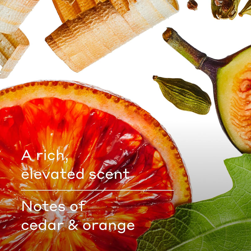 Harry's Men's Body Wash - Fig - (3 Pack) 18 fl oz - Shower Gel for Men - No Parabens, Sulfates, or Dyes Infinity Warehouse