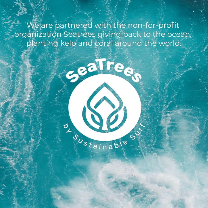 Sea El Castor Lash & Brow Serum Organic Castor Oil Rosemary Oil & Black Seed Oil Hair Conditioner - Eyelashes & Eyebrow Thickening & Growth Essentials for Women & Men - 1 fl oz Bottle (Pack of 2)