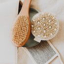 Dry Brushing Body Brush - Round Exfoliating Brush, Body Brush, Dry Brush for Cellulite and Improved Lymphatic Drainage Massager & Body Scrubber Brush for Skin & Body Exfoliator, Skin Brush… Beauty by Earth