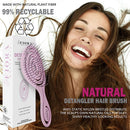 Fiora Naturals Hair Detangling Brush -100% Bio-Friendly Detangler hair brush w/Ultra-soft Bristles- Glide Through Tangles with Ease - For Curly, Stright, Women, Men, Kids, Toddlers, Wet and Dry Hair Fiora Naturals Store