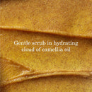 Tatcha Kissu Lip Scrub, Moisturizing Lip Exfoliant with Peach Seed Scrub for Polish, Smooth Lips Infinity Warehouse