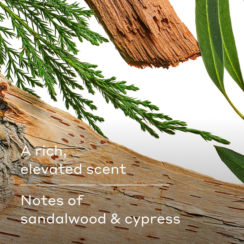 Harry's Men's Body Wash - Wildlands - (3 Pack) 18 fl oz - Shower Gel for Men - No Parabens, Sulfates, or Dyes Infinity Warehouse