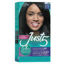 Just 5 Women's 5 Minute Permanent Hair Color with Conditioner, Grey Hair Coloring for Women - Rich Black Just 1