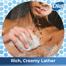 Dial Body Wash, Spring Water with All Day Freshness, 21-Fluid Ounces (Pack of 3) Dial