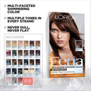 L'Oreal Paris Feria Multi-Faceted Shimmering Permanent Hair Color, 63 Sparkling Amber (Light Golden Brown), Pack of 1, Hair Dye L'Oreal Paris
