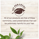 Garnier Whole Blends Sustainably Sourced Coconut Oil and Cocoa Butter Leave in Conditioner Treatment to Smooth and Control Frizzy Hair, 5.1 Fl Oz Garnier