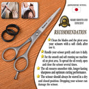 Aideoq Professional Hair Cutting Scissors -Barber Scissors/shears for hair cutting /beard scissors - 6.5" silver Hairdresser Scissors for Men and Women. Aideoq