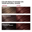 L'Oreal Paris Superior Preference Fade-Defying + Shine Permanent Hair Color, 4M Dark Mahogany Brown, Pack of 1, Hair Dye L'Oreal Paris