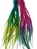 Tie Dye Feather Hair Extensions, 100% Real Rooster Feathers, 20 Long Thin Loose Individual Feathers, By Feather Lily Feather Lily