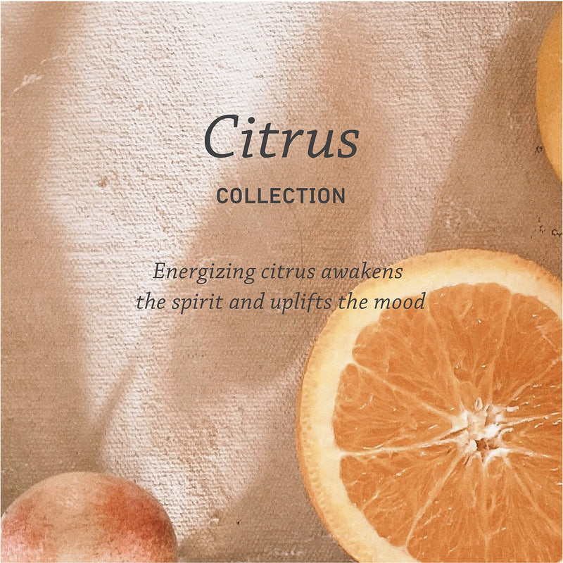 Pharmacopia Citrus Conditioner and Shampoo Bundle, 16oz Bottles Pharmacopia