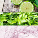 Calvin Klein ck one Calvin Klein