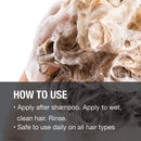 Solutions by Great Clips Nourishing Shampoo and Conditioner Set | Features Argan Oil | Sulfate & Paraben Free Formula | Hydrates & Repairs Hair | Safe for Color-Treated Hair GREAT CLIPS Store