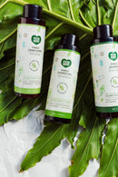 ecoLove - Natural Conditioner for All Hair Types - Safe for the Whole Family - No SLS or Parabens - With Organic Cucumber Extract - Vegan and Cruelty-Free, 17.6 oz ecoLove