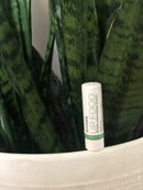 Eco Lips Lip Food - Nutrient Dense & Organic Lip Balm (Nourish) Eco Lips