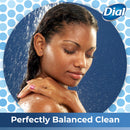 Dial Body Wash, Spring Water with All Day Freshness, 21-Fluid Ounces (Pack of 3) Dial