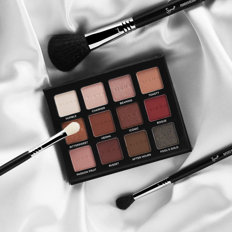 Sigma Beauty Professional F10 Powder synthetic Face Makeup Brush SigmaTech fibers for Blending Foundation and Loose Powder Makeup Sigma Beauty