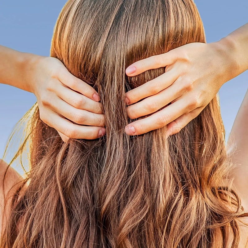 Herbal Essences Shine Collection Shampoo Infinity Warehouse