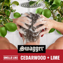 Old Spice Swagger 2-in-1 Shampoo and Conditioner Set for Men, Cedarwood Lime Scent, Get Up To 80% Fuller-Looking Hair, Barbershop Quality, 29.2 Fl Oz Each, 2 Pack Infinity Warehouse