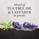 Sulfate Free Conditioner, Dye Free Purifying Treatment, Tea Tree and Lavender, Hair Food, 17.9 FL OZ Hair Food