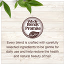 Garnier Whole Blends Sustainably Sourced Coconut Oil and Cocoa Butter Leave in Conditioner Treatment to Smooth and Control Frizzy Hair, 5.1 Fl Oz Garnier