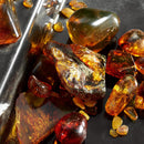 Dolce & Gabbana Q Infinity Warehouse