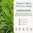 Lemongrass Body Wash with Vitamin E, Cleanses, Refreshes & Invigorates, Shower Gel for Dry and Sensitive Skin, Women & Men, Organic & Natural, 16 fl oz, 2-Pack Infinity Warehouse