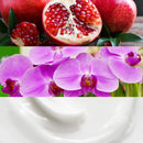 Calvin Klein euphoria Eau de Parfum, 0.33 Fl. Oz. Rollerball Calvin Klein