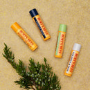 Burt’s Bees Holiday Gift, 4 Lip Balm Stocking Stuffer Products, Beeswax Bounty Assorted Set - Original Beeswax, Vanilla Bean, Cucumber Mint & Coconut Pear (Old Verison) Burt's Bees