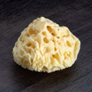 Neptune Natural Sea Wool Sponge - All Natural Honeycomb Renewable Sea Sponge, X -Large, Approx. 6 Inches Neptune Natural
