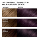 L'Oreal Paris Feria Multi-Faceted Shimmering Permanent Hair Color, Cool Amethyst, Pack of 1, Hair Dye L'Oréal Paris