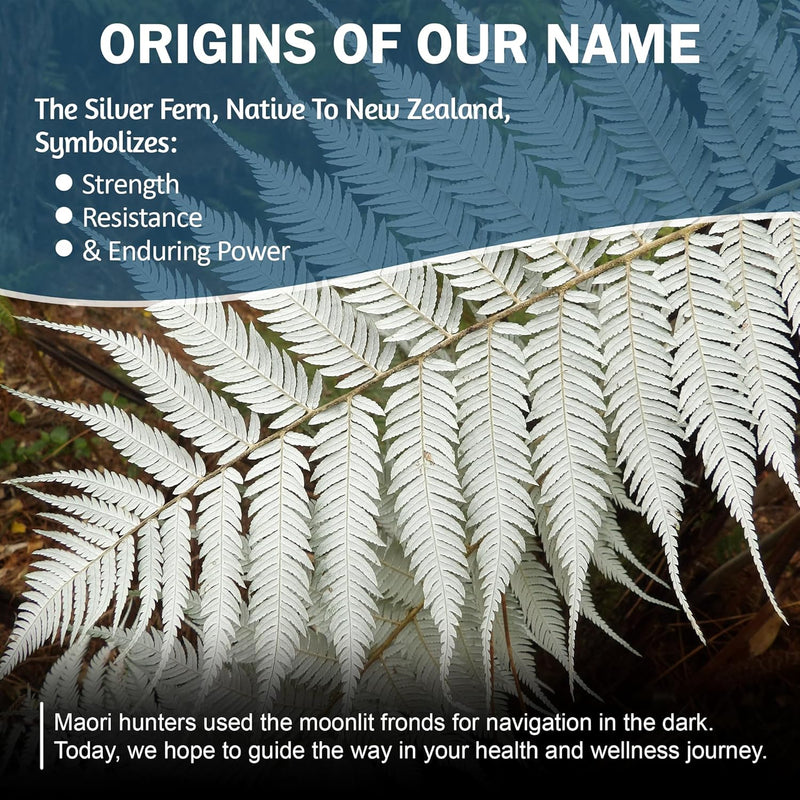 Silver Fern Brand Metabolism Supplement + Berberine Phytosome & aXivite – Supports Function & Wellness – 60 Capsules Infinity Warehouse