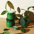 innisfree Green Tea Seed Intensive Hydrating Cream Face Moisturizer innisfree