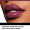 Covergirl Outlast All-Day Lip Color with Moisturizing Topcoat, New Neutrals Shade Collection, Muted Berry, Pack of 1 - Infinity Warehouse