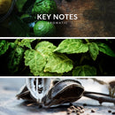 NEW Insurrection Pure PARFUM by Reyane Tradition - Highly Concentrated and Long Lasting Parfum For Him - LIMITED EDITION FRAGRANCE Reyane Tradition