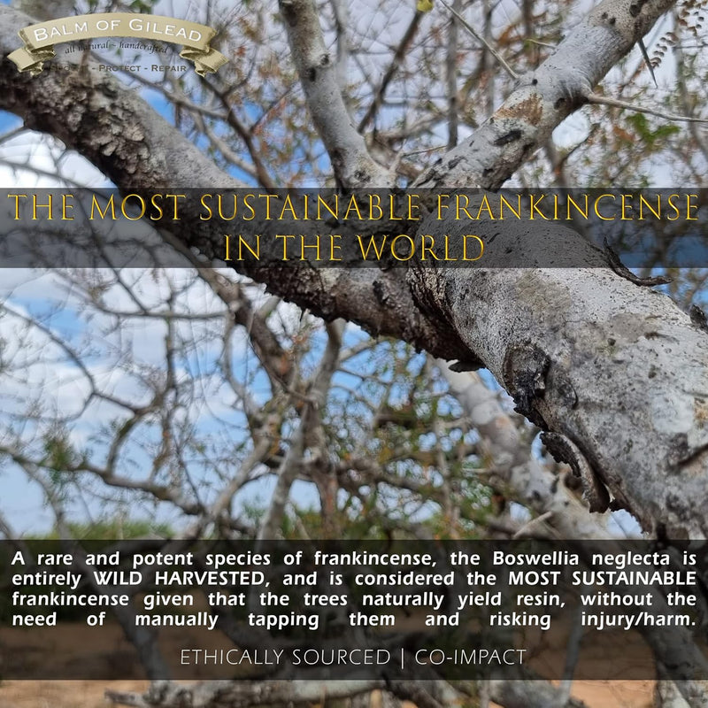 Foot Healing Cream – Intensive Moisture and Healing, Foot Care and Body, Skin Soothing Cream - Eczema, Ringworm, Dry, Chaffed Skin, Nail - Tea Tree with Eucalyptus, Frankincense and Sweet Myrrh Infinity Warehouse