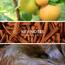 Territoire Eau De Parfum, Men's Cologne (Cobalt) Territoire