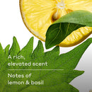 Harry's Men's Body Wash - Spring - (3 Pack) 18 fl oz - Shower Gel for Men - No Parabens, Sulfates, or Dyes Infinity Warehouse