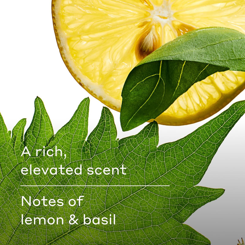 Harry's Men's Body Wash - Spring - (3 Pack) 18 fl oz - Shower Gel for Men - No Parabens, Sulfates, or Dyes Infinity Warehouse