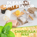 Biodegradable Silk Dental Floss Mint | Natural Candelilla Wax with Refillable Glass Case | 33 Yards/30 Meter Natural Oral Care Silk Spool | Mint Flavored Wax Shopper Goods
