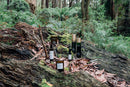 SENSORI + Detoxifying and Glowing Oil-in-Lotion for Body - Gayndah Orchard 4625-6.7 oz SENSORI +