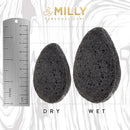 Konjac Sponge for Face - All Natural and Reusable - Konjac Facial Sponge with Activated Bamboo Charcoal - Gentle Exfoliating and Cleaning for All Skin Types - Biodegradable - Black By MILLY